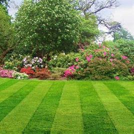 Lawncare